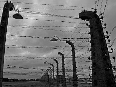 KZ Auschwitz und Birkenau